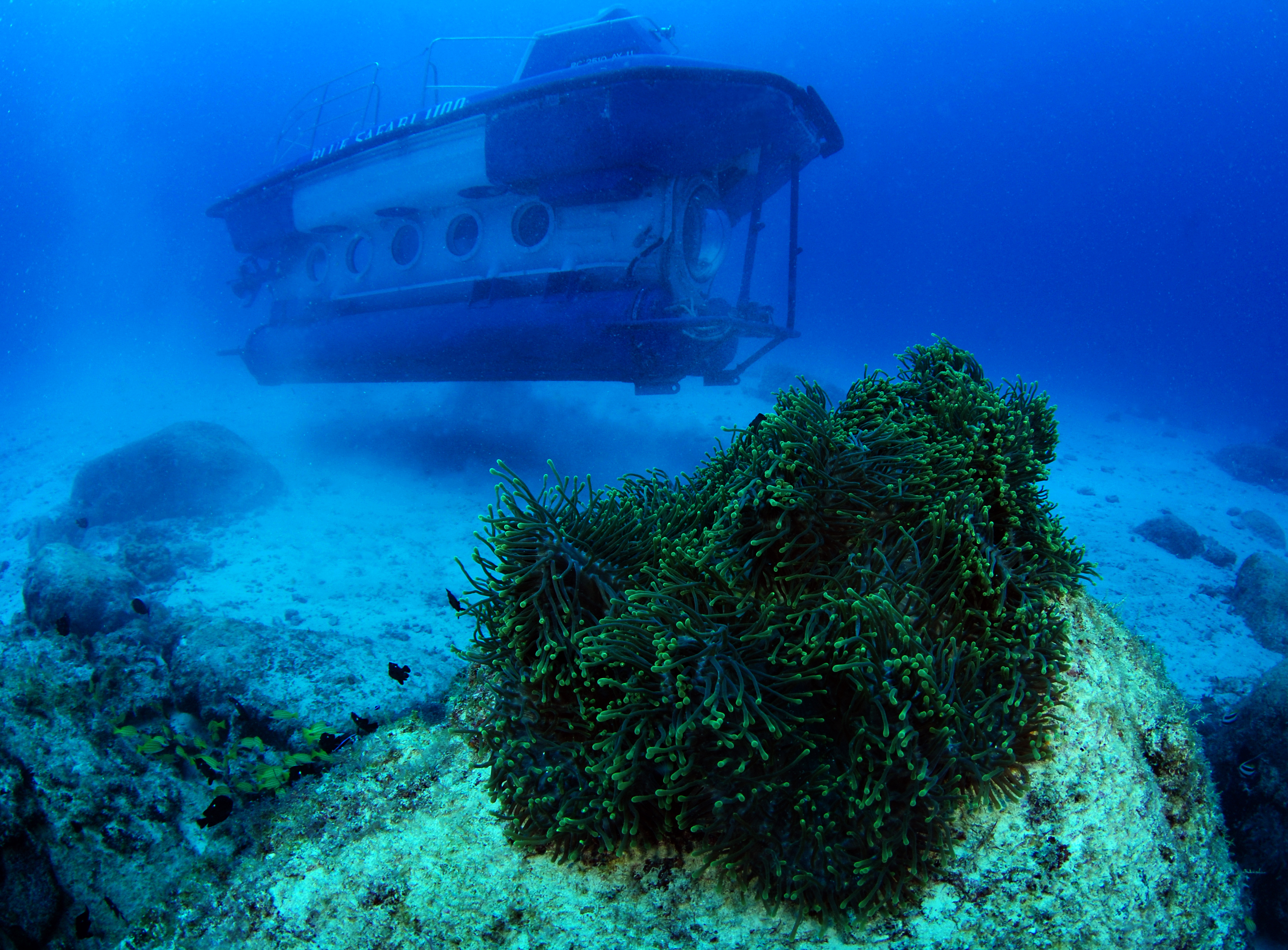 毛里求斯潜水艇