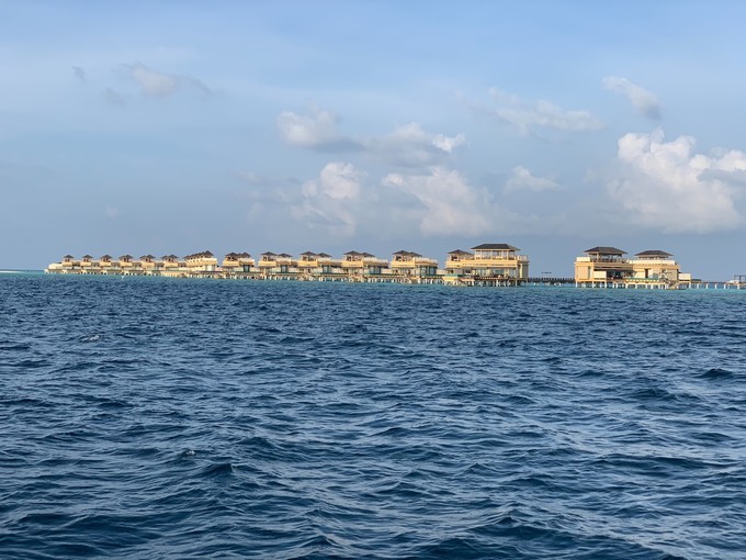 出海寻海豚看日落 傍晚,幸运海豚之旅,真的看见了好多海豚